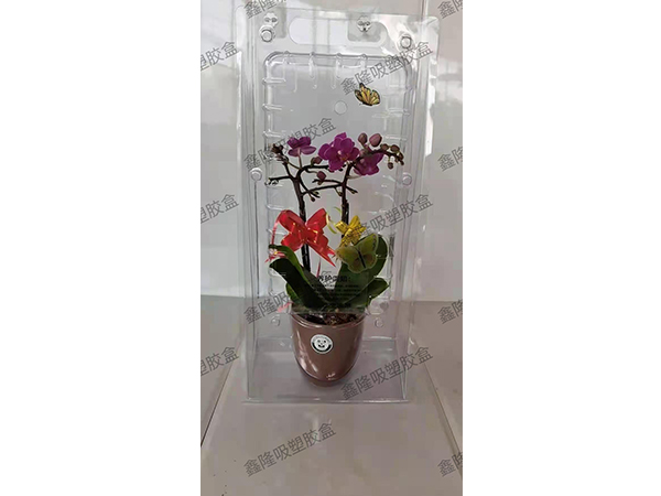 礼盒吸塑包装06